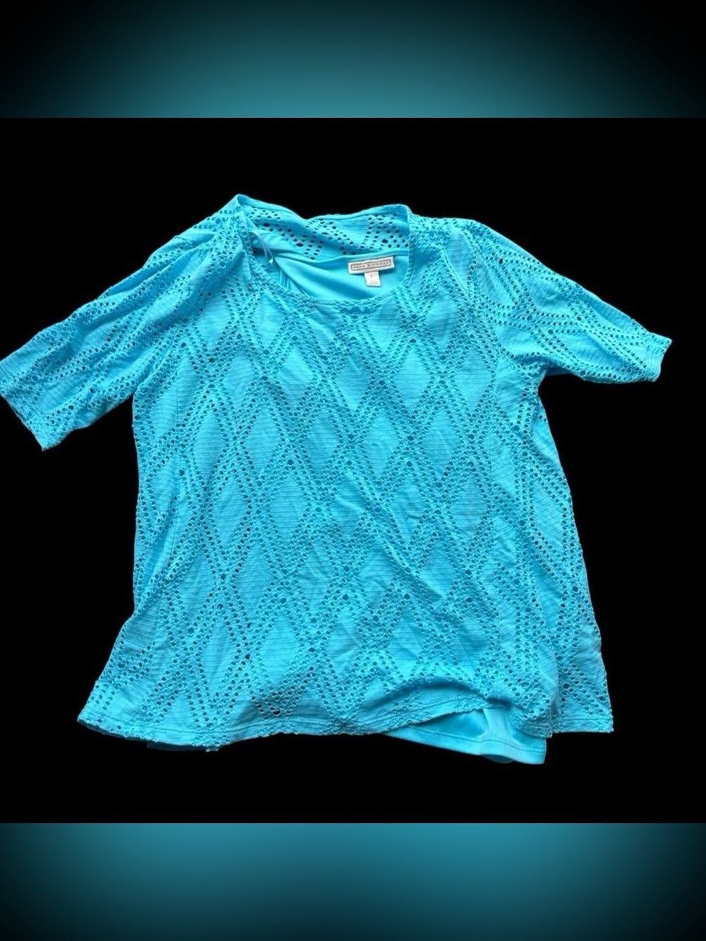 ✨ '†Dana Buchman blue eyelet top Size L✨